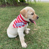 Flag Bandana Dog Collar