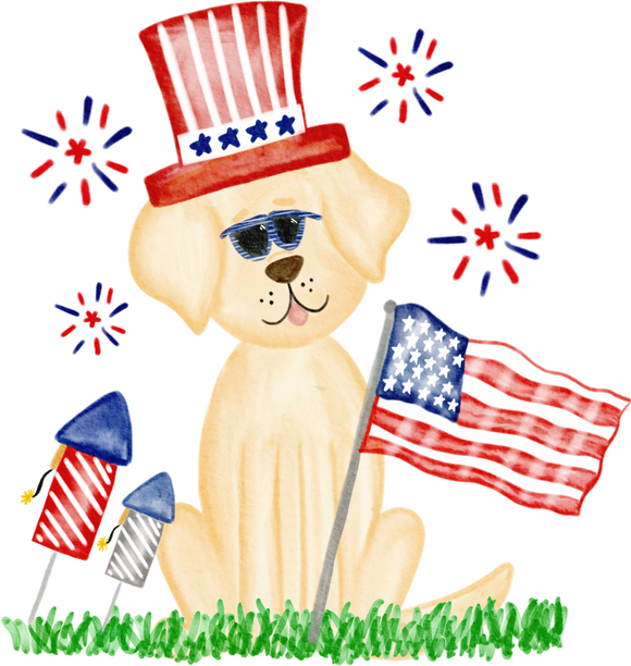 Patriotic Boy Yellow Lab- Sublimation